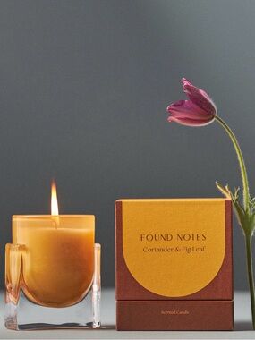 Anthropologie Found Notes Fresh Coriander & Fig Leaf Boxed Candle